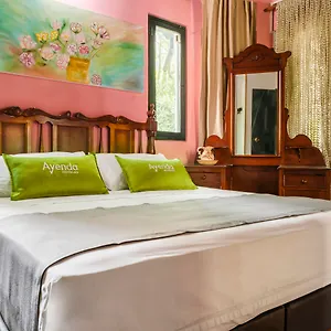 https://habana-vieja.colombiamedellinhotels.com